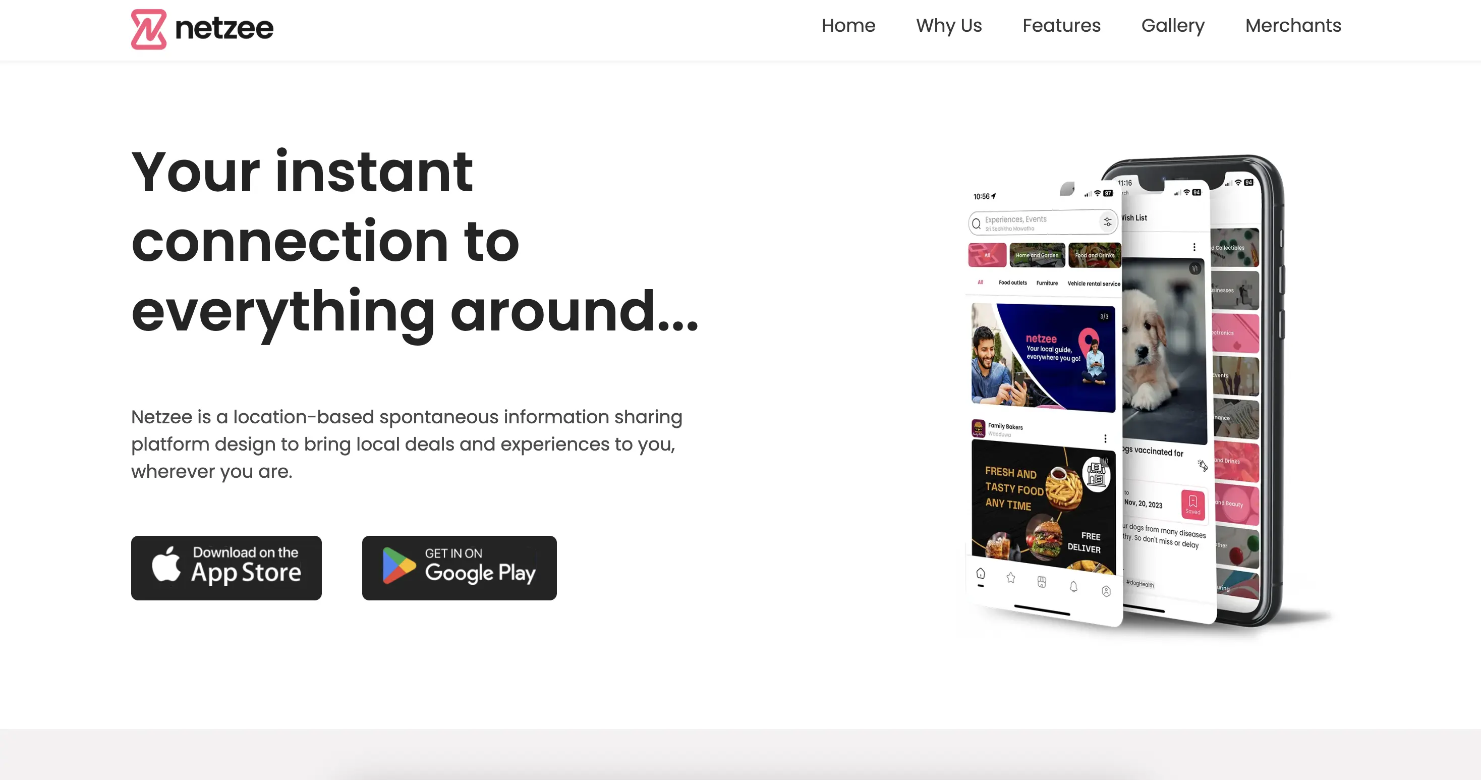 Netzee - App Landing Page